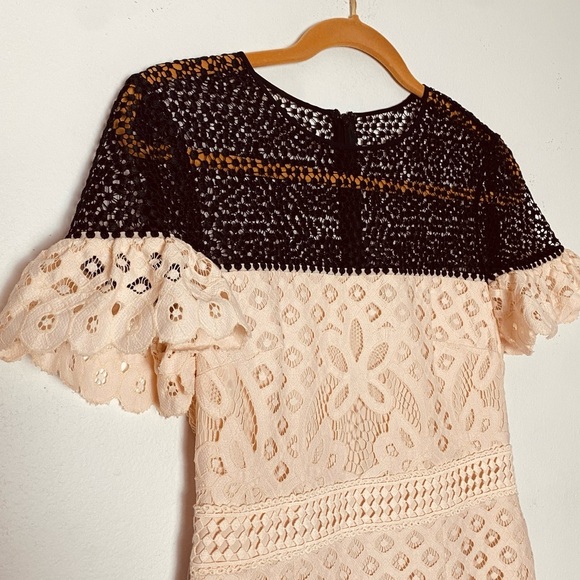 CLUB MONACO Womans Elegant Eyelet Sheath Lace Dress with Ruffle Sleeve Size 4 - Picture 5 of 13